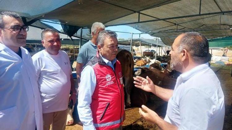 İzmir Tarım ve Orman Müdürü Mustafa Özen: Ehil olmadığı halde kurban kesene 1300 TL para cezası kesilecek