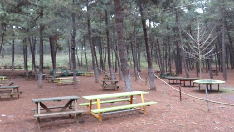 Ormanlara giriş yasak mı İstanbulda ormanda piknik, yürüyüş, mangal yapmak yasak mı Vali Yerlikaya duyurdu