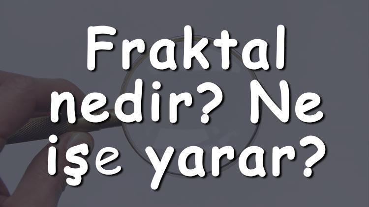 Fraktal nedir Ne işe yarar Fraktal nasıl oluşturulur ve nasıl çizilir