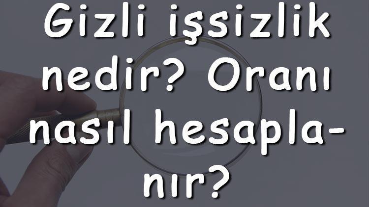 Gizli işsizlik nedir Oranı nasıl hesaplanır Gizli işsizlik en çok hangi sektörde görülür