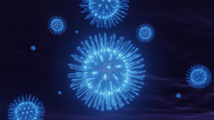 Afrika’da yeni salgın paniği Dünyanın en ölümcül virüslerinden biri… DSÖ uzmanları inceliyor