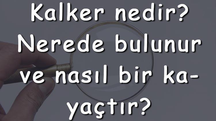 Kalker nedir Nerede bulunur ve nasıl bir kayaçtır Kalker başkalaşmasıyla oluşan kayaca ne denir