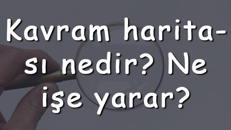 Kavram haritası nedir Ne işe yarar Kavram haritası türleri, özellikleri ve örnekleri