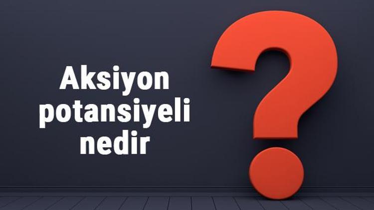 Aksiyon potansiyeli nedir, nerede ve nasıl başlar Aksiyon potansiyel evreleri nasıl oluşur