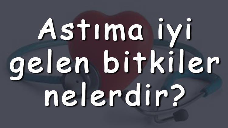 Astıma iyi gelen bitkiler nelerdir Astıma iyi gelen bitki çayları ve tarifleri