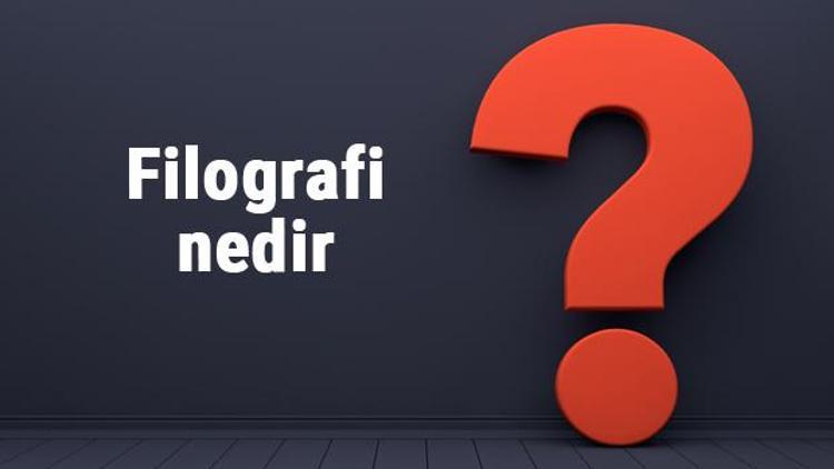 Filografi nedir, nasıl yapılır Filografrafi sanatı örnekleri ve malzemeleri