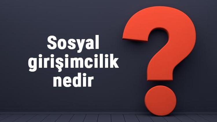 Sosyal girişimcilik nedir, neden önemlidir Sosyal girişimciler nasıl para kazanır