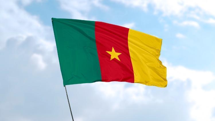 Kamerun bayrağı anlamı nedir Bayrakta hangi renkler bulunur Renklerinin anlamları