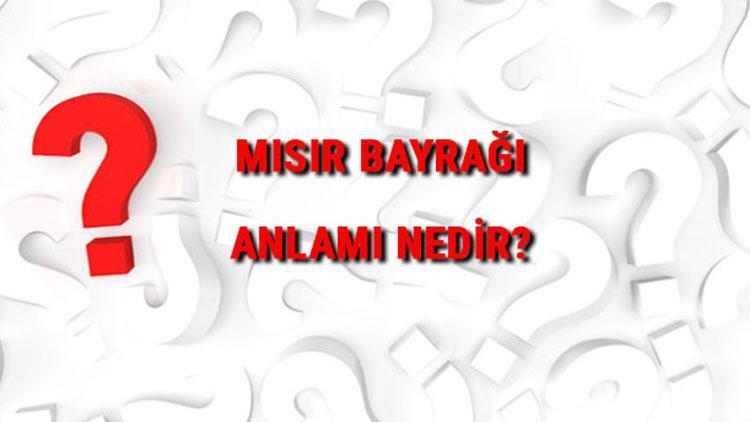 Mısır Bayrağı Anlamı Nedir Bayrakta Hangi Renkler Bulunur Renklerinin Anlamları