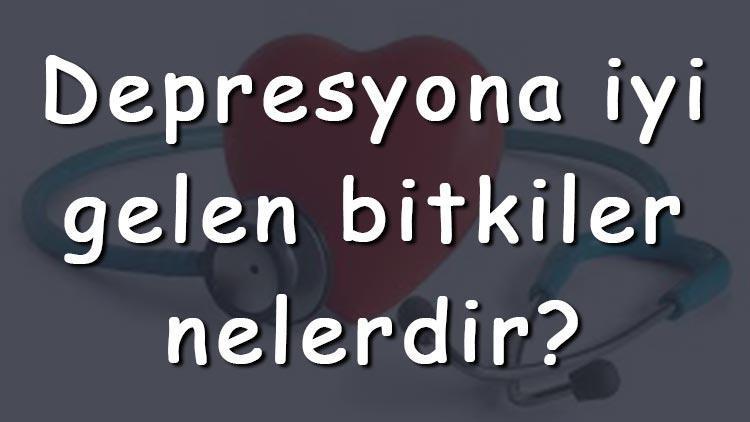 Depresyona iyi gelen bitkiler nelerdir Depresyona iyi gelen bitki çayları ve tarifleri