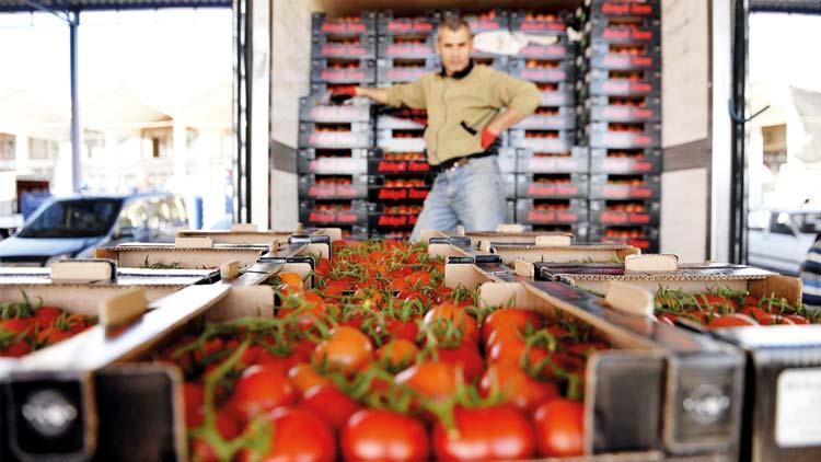 Yaş meyve-sebze ihracatı 551 milyon dolara çıktı