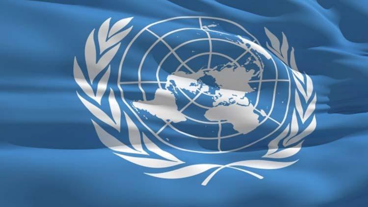 BM Güvenlik Konseyi’nde Zaho saldırısı oturumu: ‘Terör örgütü Irak’ı işgal etmiş’