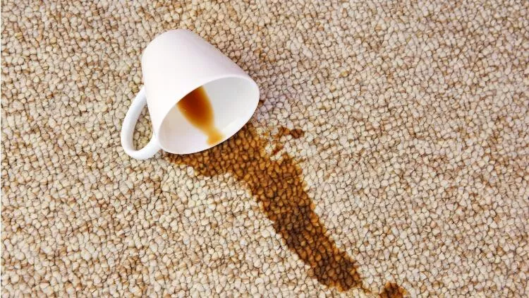 Kahve Lekesi Halıdan Nasıl Çıkar? Kurumuş Türk Kahvesi Halıdan Nasıl Geçer