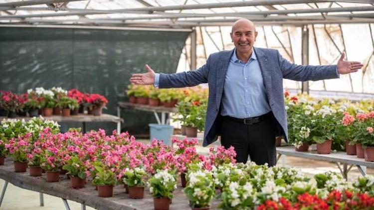 Urla Bademlerin çiçekleri Hollanda çiçek borsasında satışa sunuldu