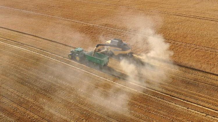 Rusya’da tahıl üretimi 11 milyon ton azaldı