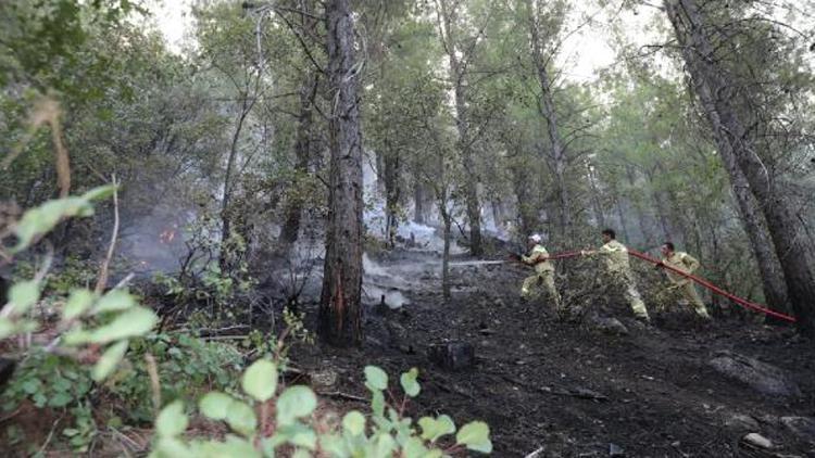 Burdurdaki orman yangını: 6 saatte kontrol altına alındı