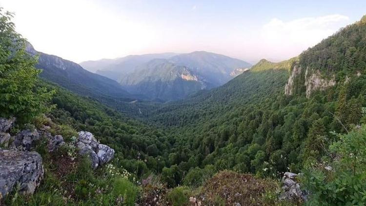 Bartın, Karabük ve Zonguldakta ormanlık alanlara giriş çıkışlar sınırlandırıldı