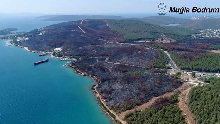 Bakan Kirişci: Yanan ormanların yüzde 75inde yeniden ormanlaştırma tamamlandı