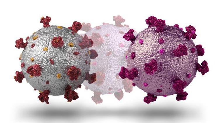 Gen varyantı koronadan ölüm riskini azaltıyor