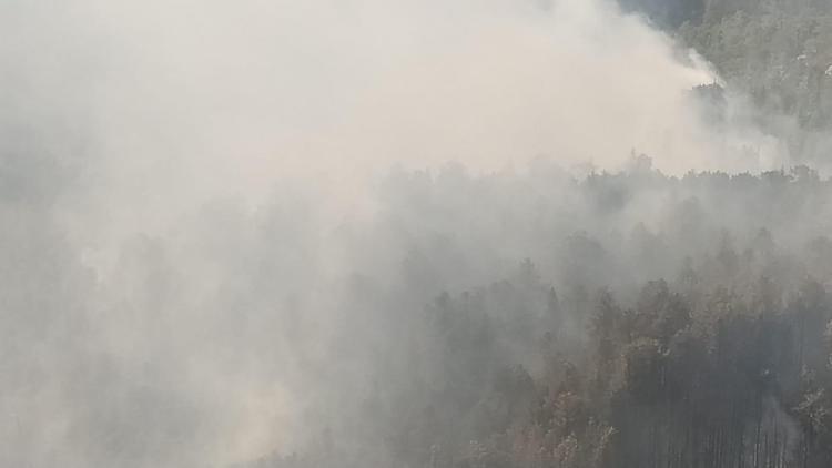 Mersindeki orman yangını 3üncü gününde