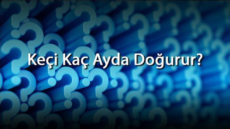 Keçi Kaç Ayda Doğurur Keçilerin Ortalama Doğum Ayları Ve Hafta Süreleri