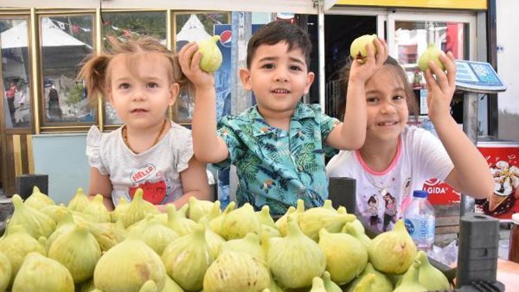 Torbalı Belediyesinden Bardacık İnciri Festivali