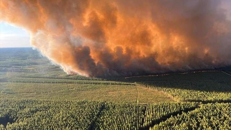 Fransa’nın güneybatısında orman yangınında 6 bin hektar alan kül oldu