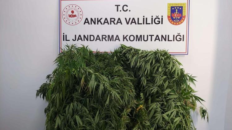 Zehir tacirleri jandarmadan kaçamadı