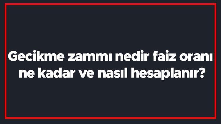 Gecikme zammı nedir, faiz oranı ne kadar ve nasıl hesaplanır Gecikme zammı hesaplama