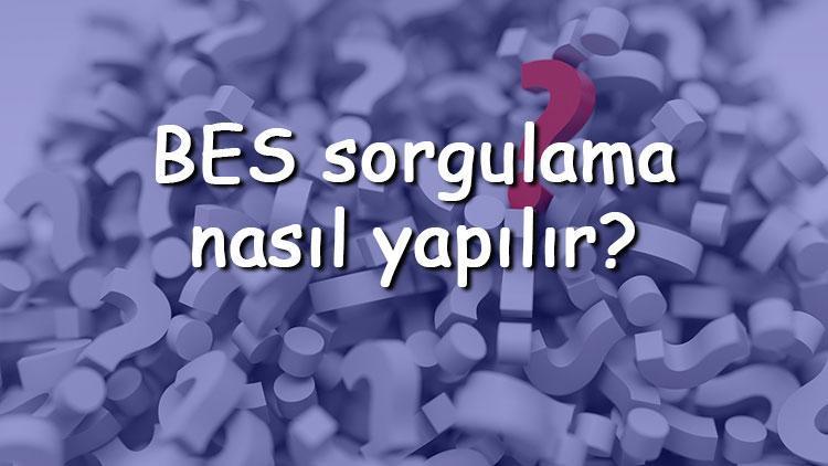 BES sorgulama nasıl yapılır Bireysel emeklilik sisteminde ne kadar para biriktiği nasıl öğrenilir