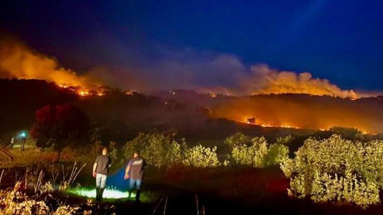 Diyarbakırda 3 ayrı noktadaki orman yangını 3 saatte söndürüldü