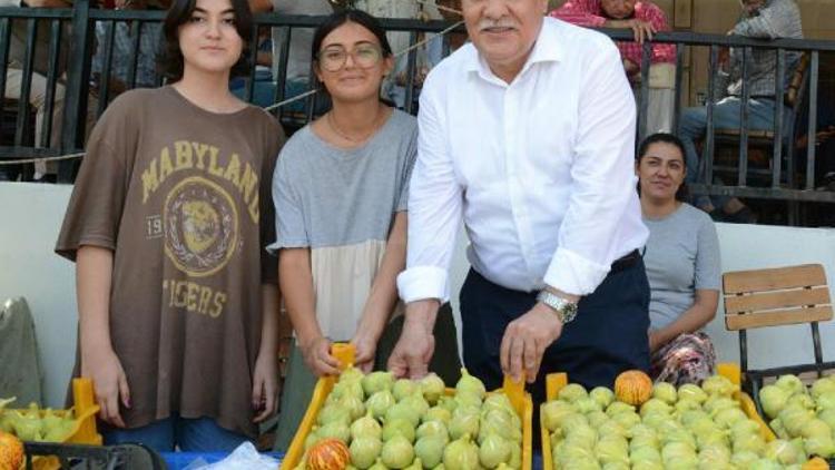 Bardacık Festivaline yoğun ilgi