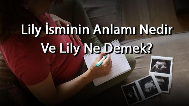 Lily İsminin Anlamı Nedir Ve Lily Ne Demek Lily Adının Özellikleri, Analizi Ve Kökeni