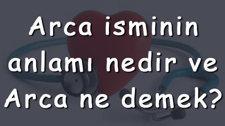 Arca isminin anlamı nedir ve Arca ne demek Arca adının özellikleri, analizi  ve kökeni