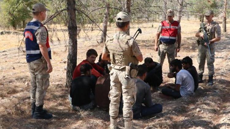 Fıstık bahçesinde saklanıyorlardı: 28 göçmen yakalandı