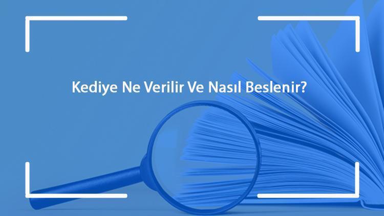 Kediye ne verilir ve nasıl beslenir Yavru, ishal olan, zehirlenen, yeni doğum yapan ve iştahsız kediye ne verilir