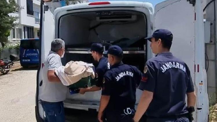 Antalyada vahşet: 2 yaşındaki bebeğini öldürdü Söyledikleri pes dedirtti