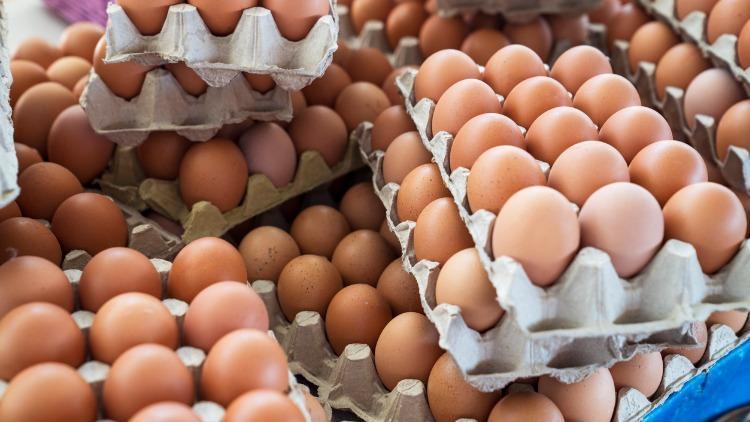 Yumurtada kaç gram ve ne kadar protein var (S, M, L ve XL yumurta)