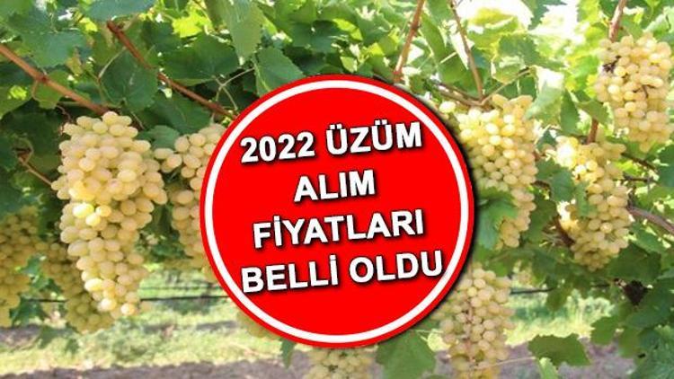 TMO üzüm alım fiyatları 2022 ne kadar oldu Cumhurbaşkanı Erdoğan sultani çekirdeksiz üzümün alım fiyatını açıkladı