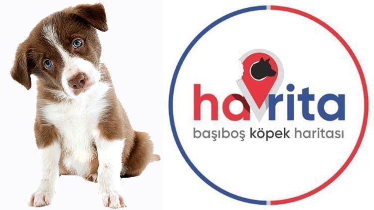 Köpek katliamlarıyla suçlanan Havrita haritadan silindi