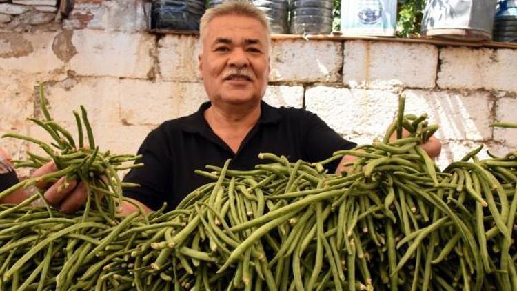 Torbalıda incirin ardında bu defa da börülce için festival