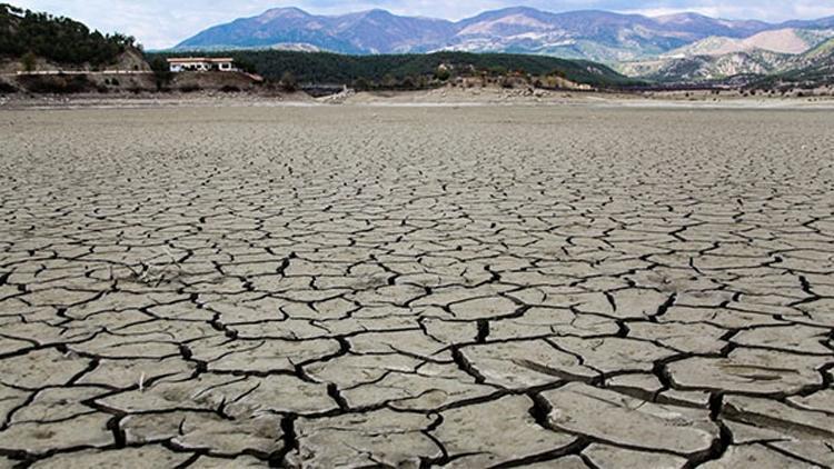 Avrupa son 500 yılın en büyük kuraklığıyla karşı karşıya