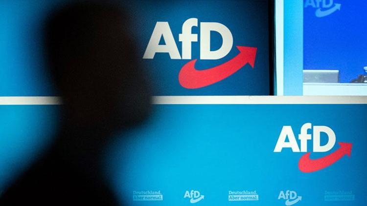 AfD, ekim ayında gösterilere başlıyor