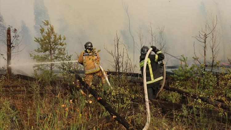 Rusyada devam eden orman yangınında 12 bin hektarlık alan kül oldu
