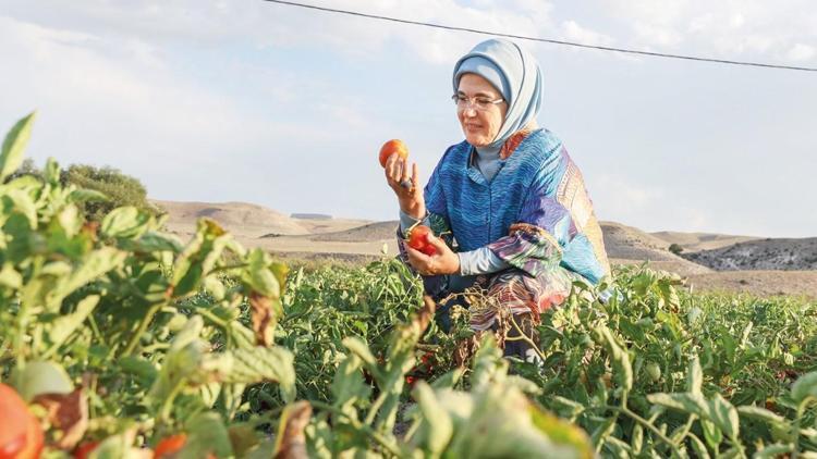 Emine Erdoğan’dan ata tohumlu kışlık domates