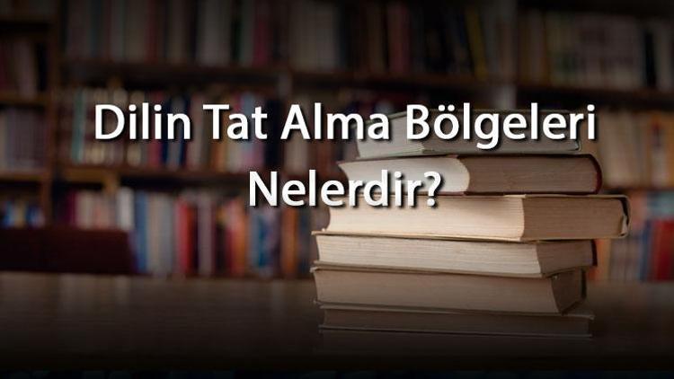 Dilin Tat Alma Bölgeleri Nelerdir Dilin Tat Alan Kısımları Ve Bölümleri