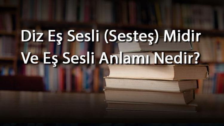 Diz Eş Sesli (Sesteş) Midir Ve Eş Sesli Anlamı Nedir Diz İle İlgili Eş Sesli Örnek Cümleler