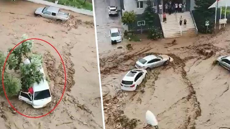 Mudanyadaki sel afeti... 5 kişilik aile zeytin ağacı sayesinde kurtuldu