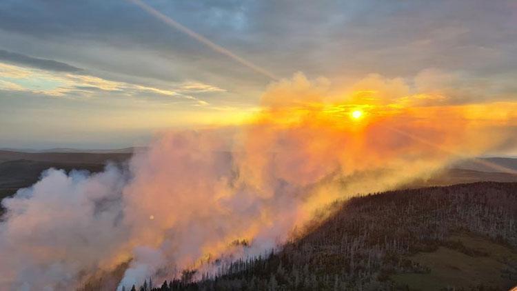 Almanya’da bulunan Harz Dağlarındaki orman yangını nedeniyle acil durum ilan edildi
