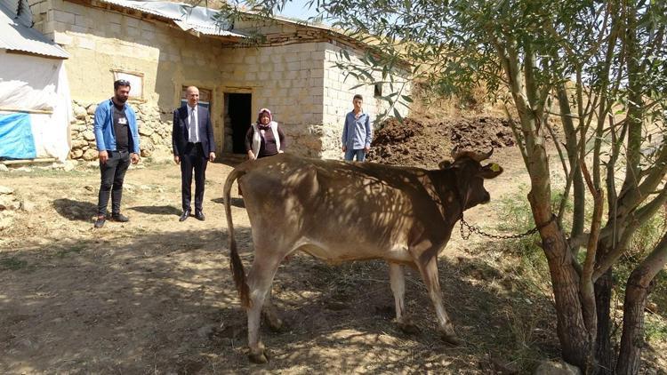 Başkentten Yüksekova’ya ulaşan mutluluk